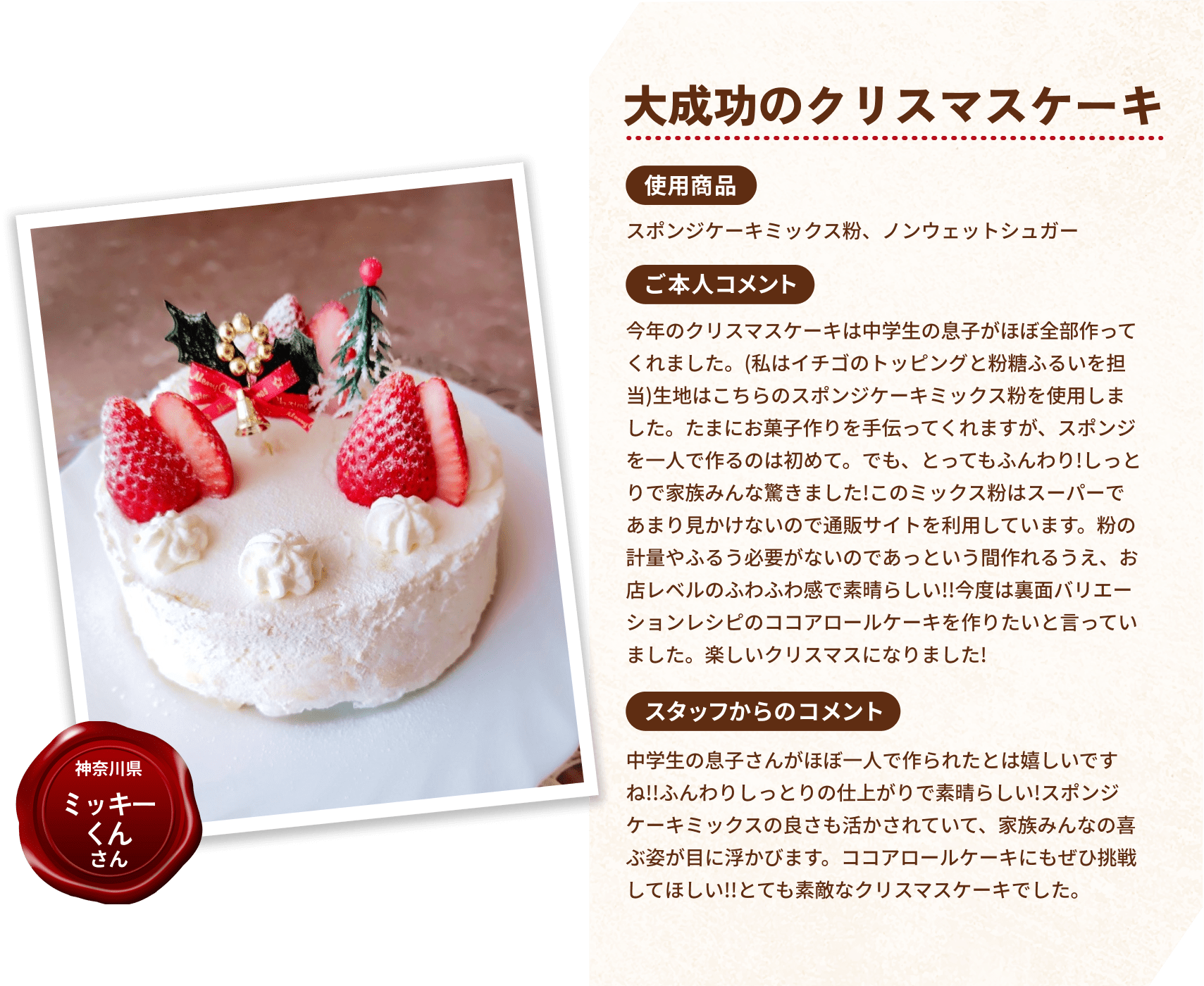 大成功のクリスマスケーキ