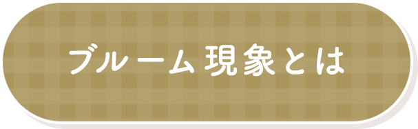 ブルーム現象とは