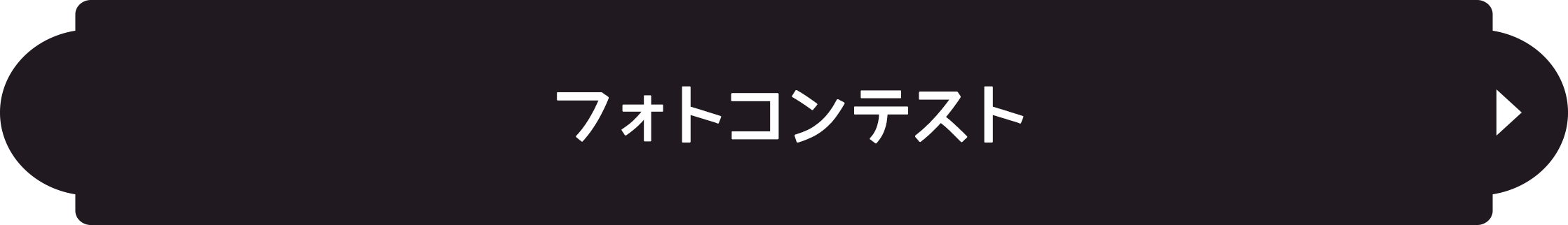 フォトコンテスト