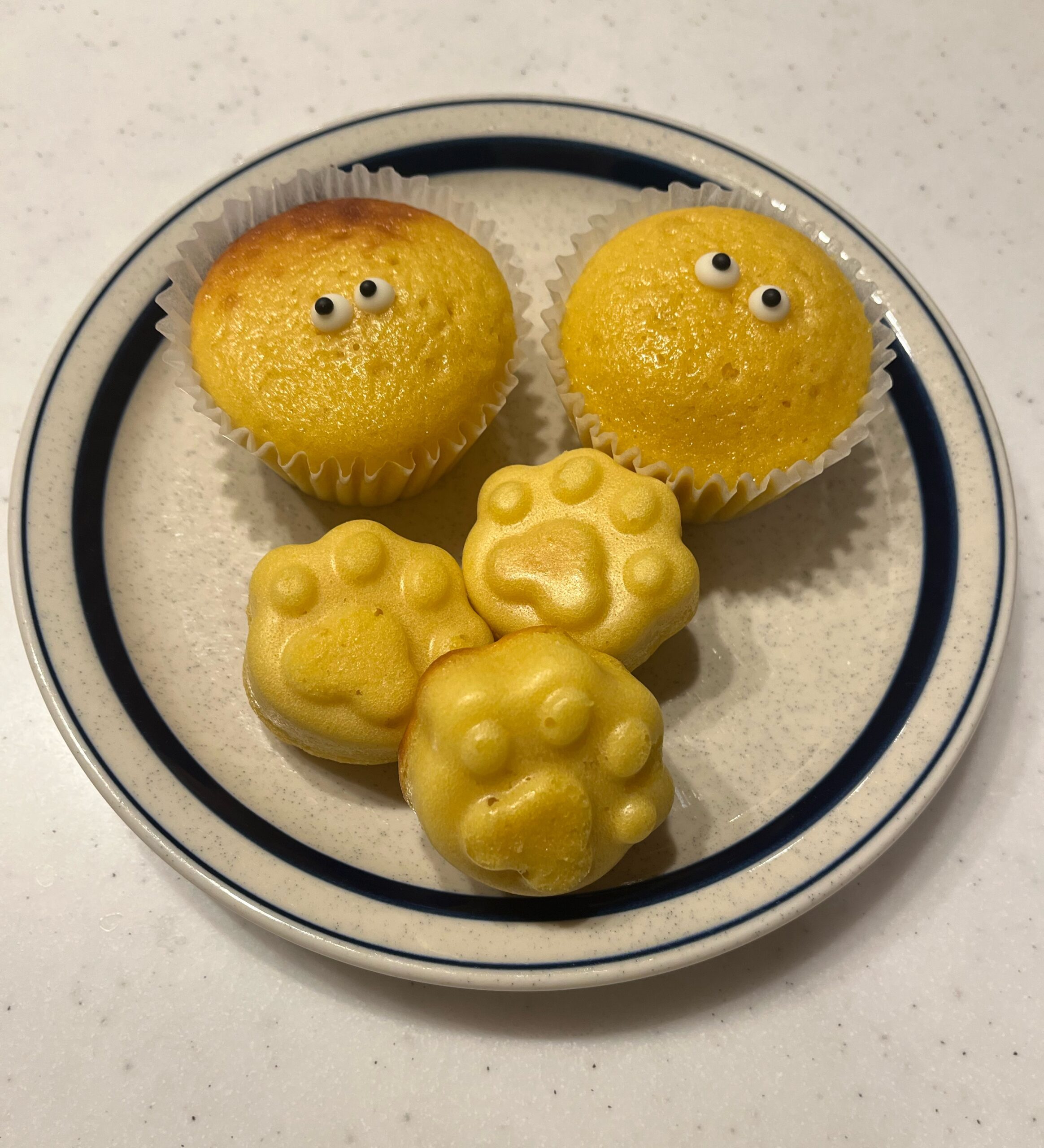 応募作品